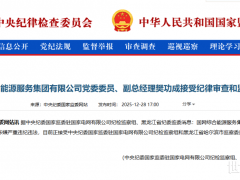 國家電網樊功成被查